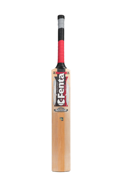Fenta Professional Cricket Bat – High-Performance Cane Handle
