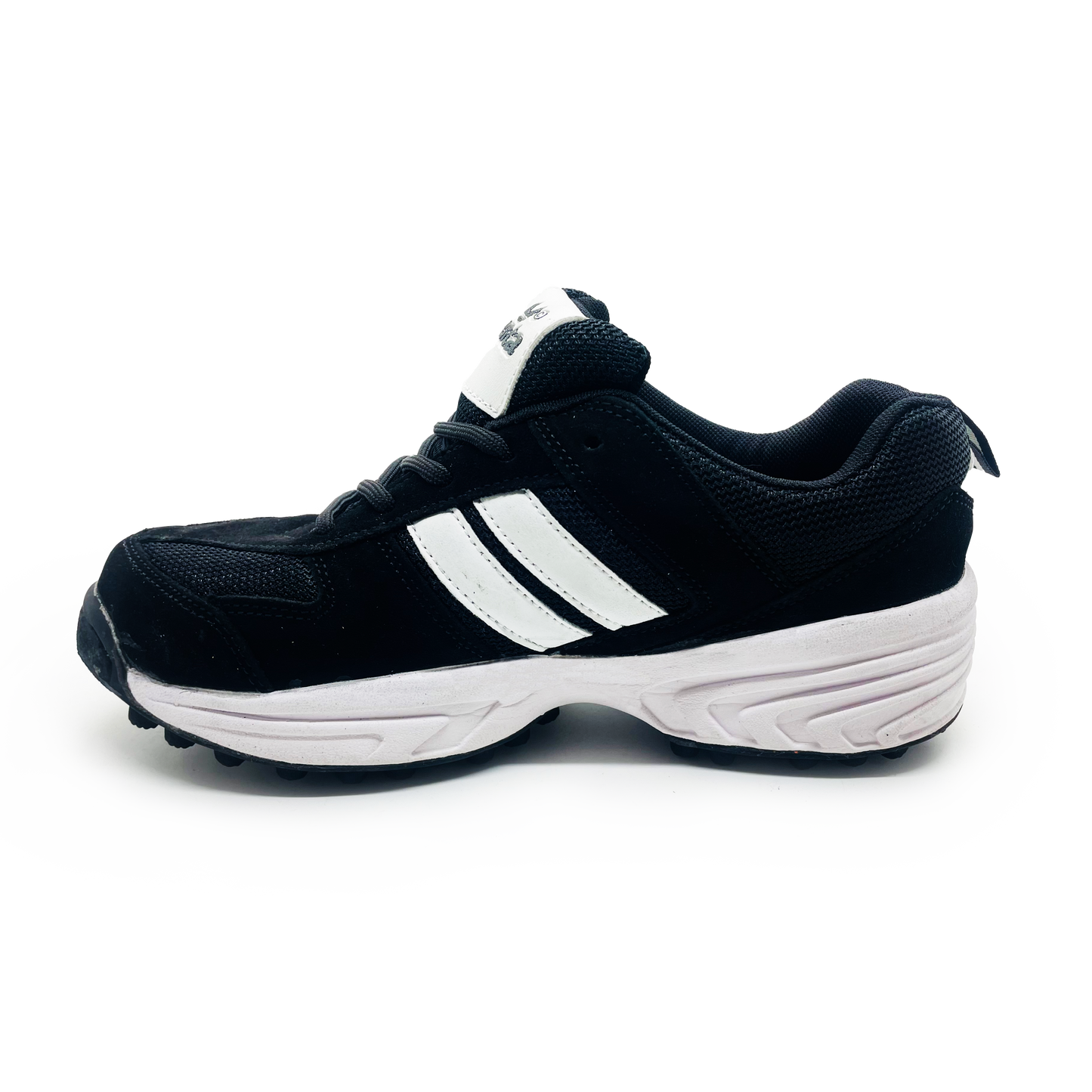 Fenta 2025 cricket shoes